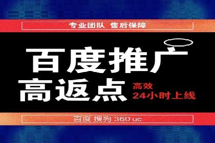 某某企业SEM推广成功案例：打造品牌营销新模式